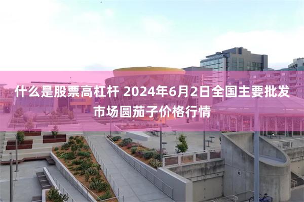 什么是股票高杠杆 2024年6月2日全国主要批发市场圆茄子价格行情