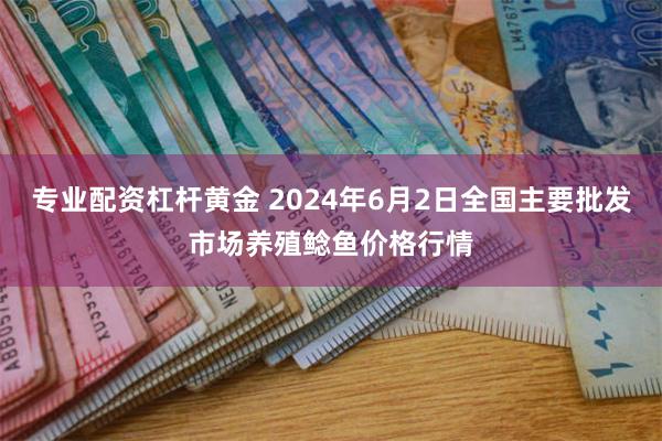 专业配资杠杆黄金 2024年6月2日全国主要批发市场养殖鲶鱼价格行情