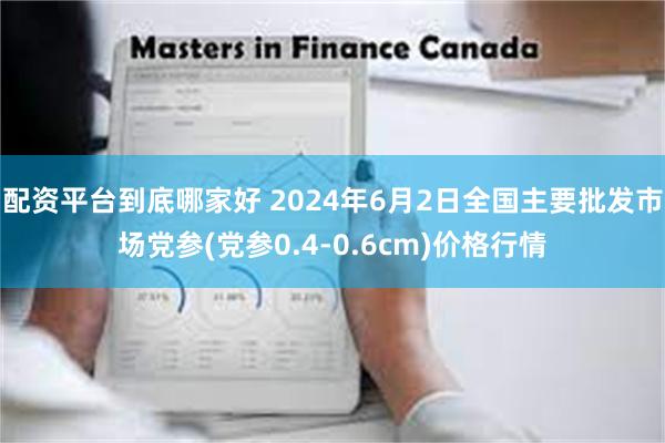 配资平台到底哪家好 2024年6月2日全国主要批发市场党参(党参0.4-0.6cm)价格行情