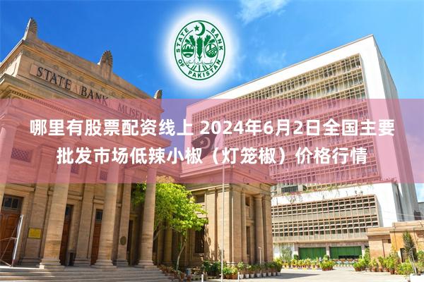 哪里有股票配资线上 2024年6月2日全国主要批发市场低辣小椒（灯笼椒）价格行情