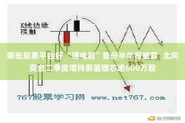 哪些股票平台好 “锂电股”首份半年报披露  北向资金二季度增持蔚蓝锂芯逾600万股