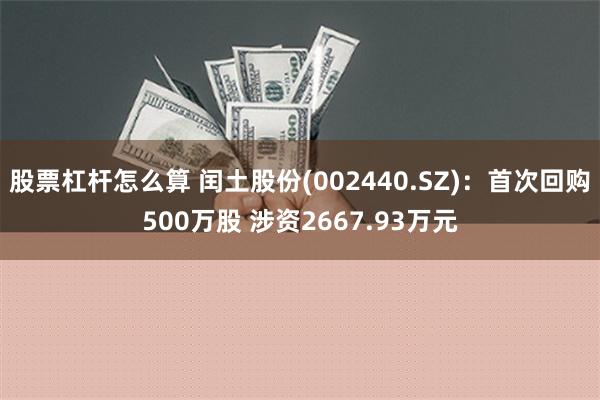 股票杠杆怎么算 闰土股份(002440.SZ)：首次回购500万股 涉资2667.93万元