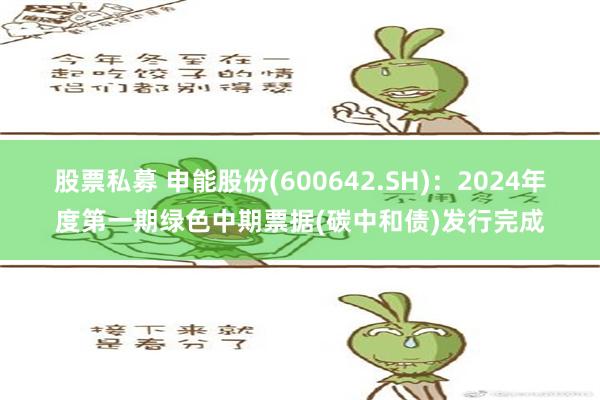 股票私募 申能股份(600642.SH)：2024年度第一期绿色中期票据(碳中和债)发行完成