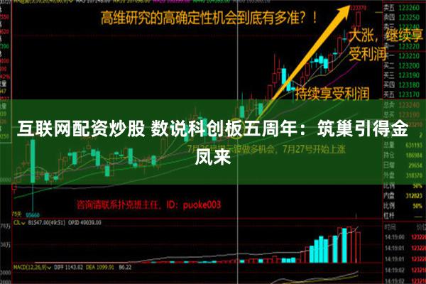 互联网配资炒股 数说科创板五周年：筑巢引得金凤来