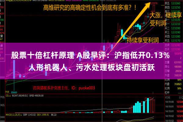 股票十倍杠杆原理 A股早评：沪指低开0.13% 人形机器人、污水处理板块盘初活跃