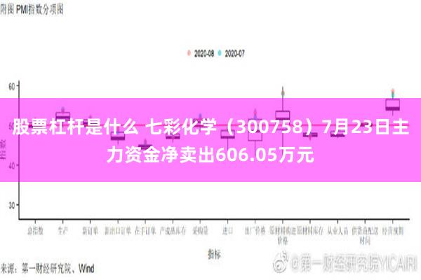 股票杠杆是什么 七彩化学（300758）7月23日主力资金净卖出606.05万元