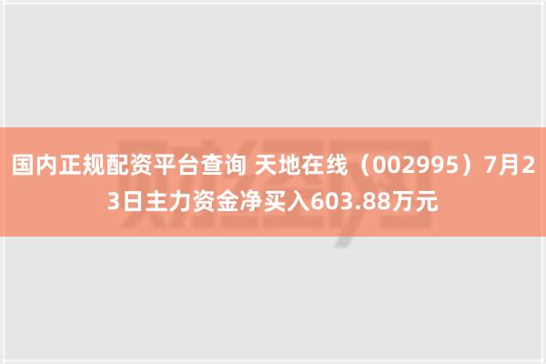 国内正规配资平台查询 天地在线（002995）7月23日主力资金净买入603.88万元