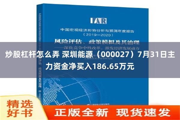 炒股杠杆怎么弄 深圳能源（000027）7月31日主力资金净买入186.65万元