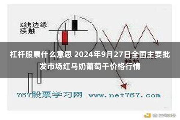 杠杆股票什么意思 2024年9月27日全国主要批发市场红马奶葡萄干价格行情