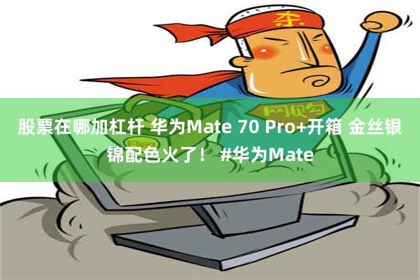 股票在哪加杠杆 华为Mate 70 Pro+开箱 金丝银锦配色火了！ #华为Mate