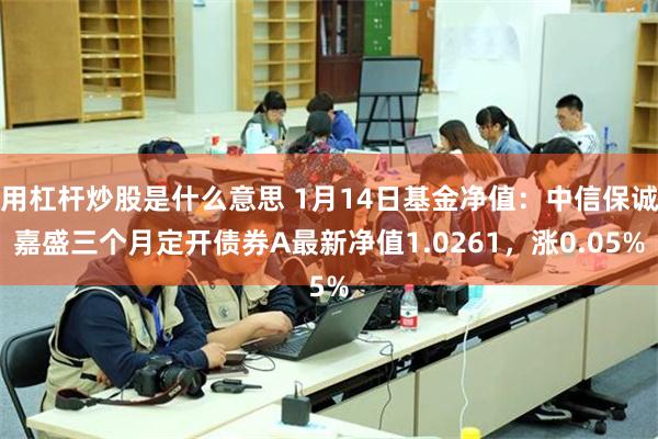 用杠杆炒股是什么意思 1月14日基金净值：中信保诚嘉盛三个月定开债券A最新净值1.0261，涨0.05%